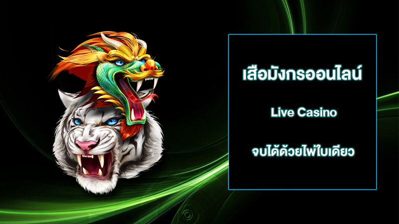เสือมังกรออนไลน์ Live Casino Dragon Tiger จบได้ด้วยไพ่ใบเดียว